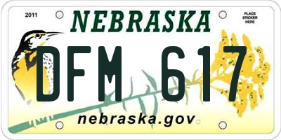 NE license plate DFM617