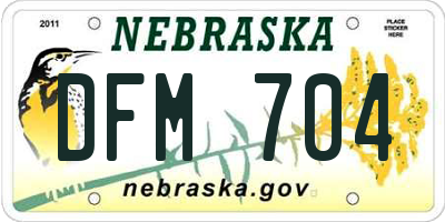 NE license plate DFM704