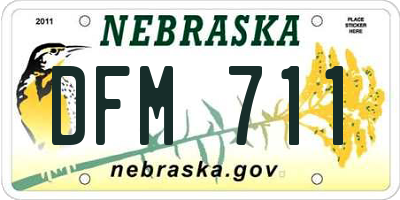 NE license plate DFM711