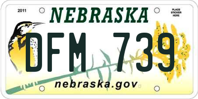 NE license plate DFM739