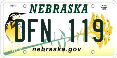 NE license plate DFN119