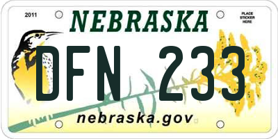 NE license plate DFN233