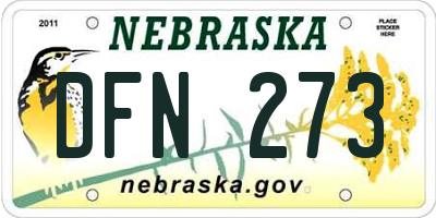 NE license plate DFN273