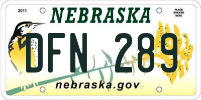 NE license plate DFN289