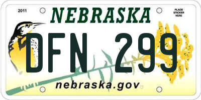 NE license plate DFN299