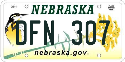 NE license plate DFN307