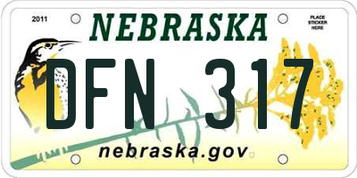 NE license plate DFN317