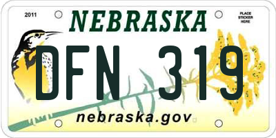 NE license plate DFN319