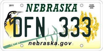 NE license plate DFN333