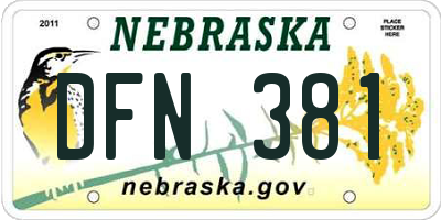 NE license plate DFN381