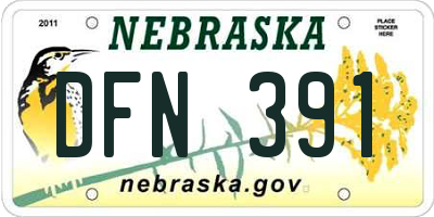 NE license plate DFN391