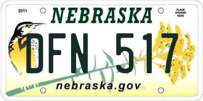 NE license plate DFN517