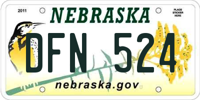 NE license plate DFN524