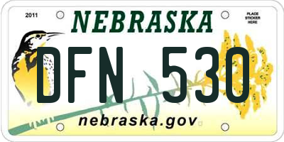 NE license plate DFN530