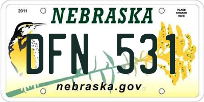 NE license plate DFN531