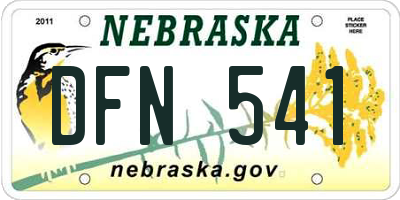 NE license plate DFN541