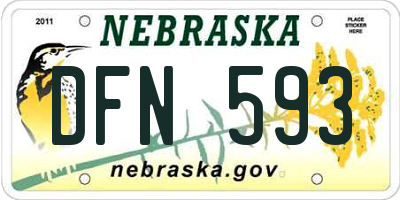 NE license plate DFN593