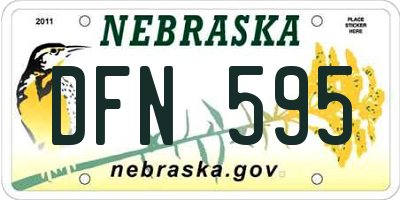 NE license plate DFN595