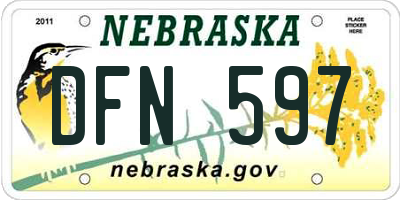 NE license plate DFN597