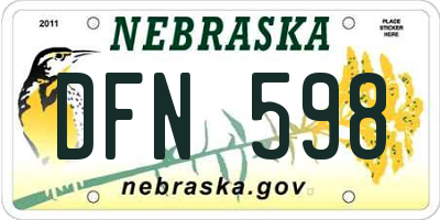 NE license plate DFN598