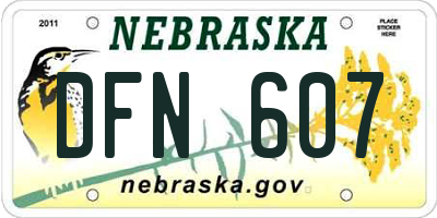 NE license plate DFN607