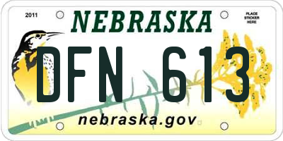 NE license plate DFN613