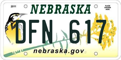 NE license plate DFN617