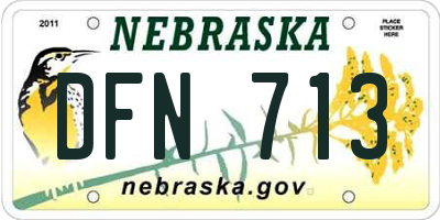 NE license plate DFN713