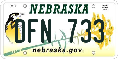 NE license plate DFN733