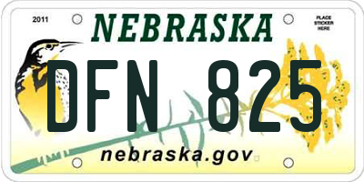 NE license plate DFN825