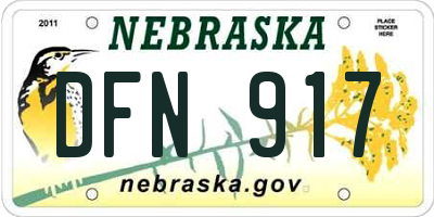 NE license plate DFN917