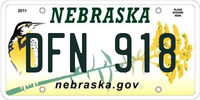 NE license plate DFN918