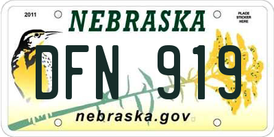 NE license plate DFN919