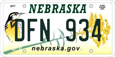 NE license plate DFN934