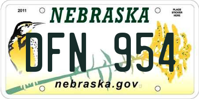 NE license plate DFN954