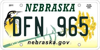 NE license plate DFN965