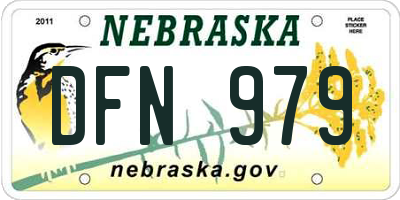 NE license plate DFN979