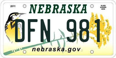 NE license plate DFN981