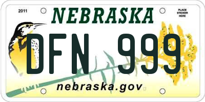 NE license plate DFN999