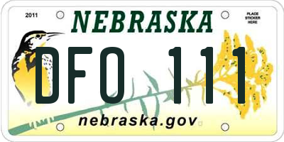 NE license plate DFO111