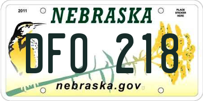 NE license plate DFO218