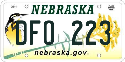 NE license plate DFO223