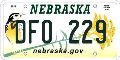 NE license plate DFO229