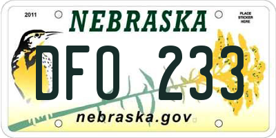 NE license plate DFO233
