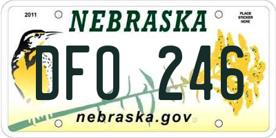 NE license plate DFO246