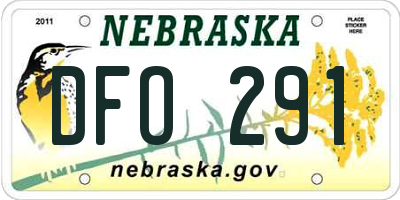 NE license plate DFO291