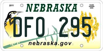 NE license plate DFO295