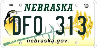 NE license plate DFO313