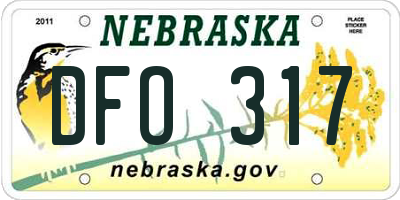 NE license plate DFO317