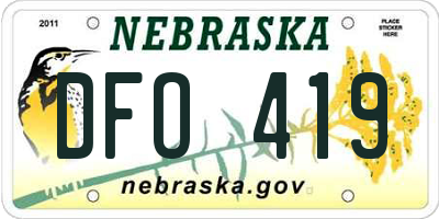 NE license plate DFO419